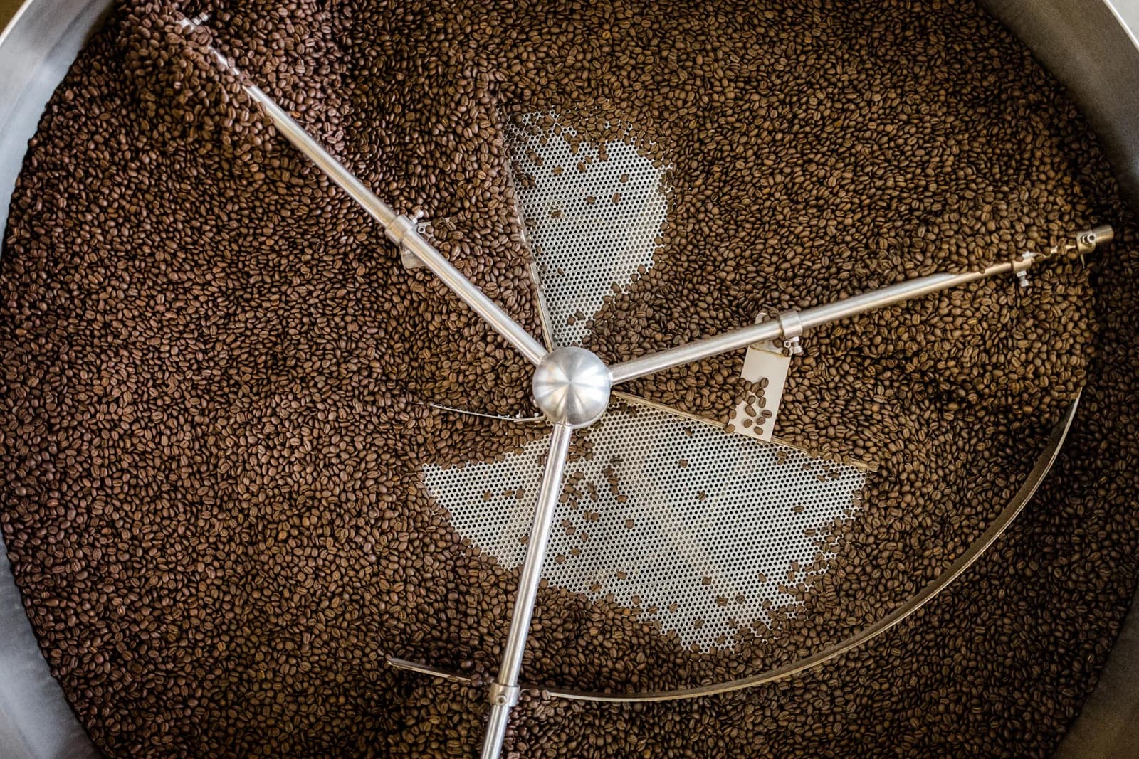 Freshly roasted coffee beans in a cooling tray at the start of coffee degassing