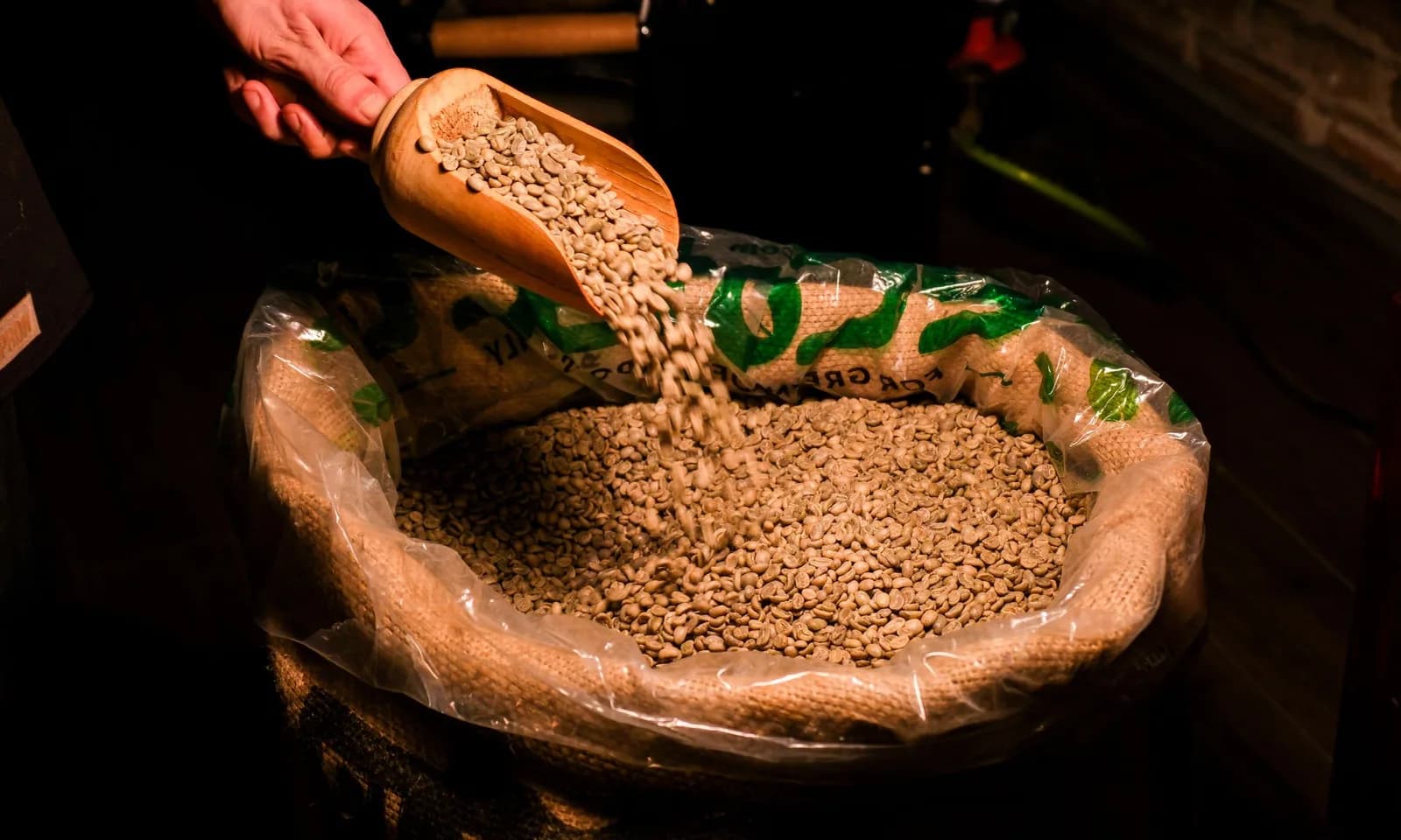 Hand inspecting raw beans for green coffee certificate of analysis review