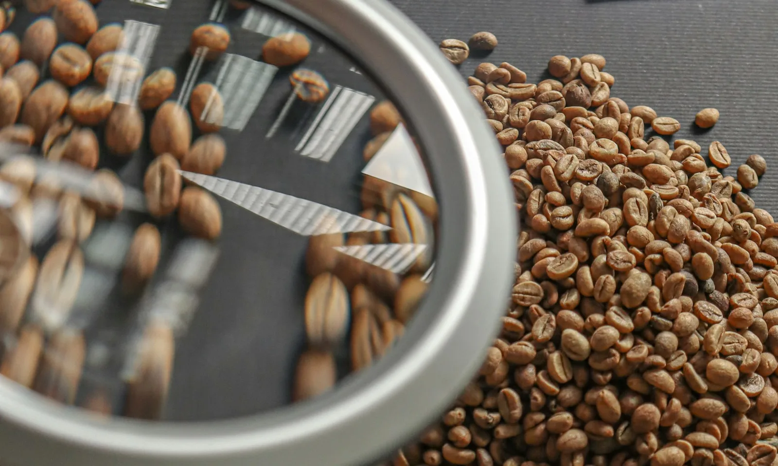 Green Coffee Sampling Protocol for Buyers