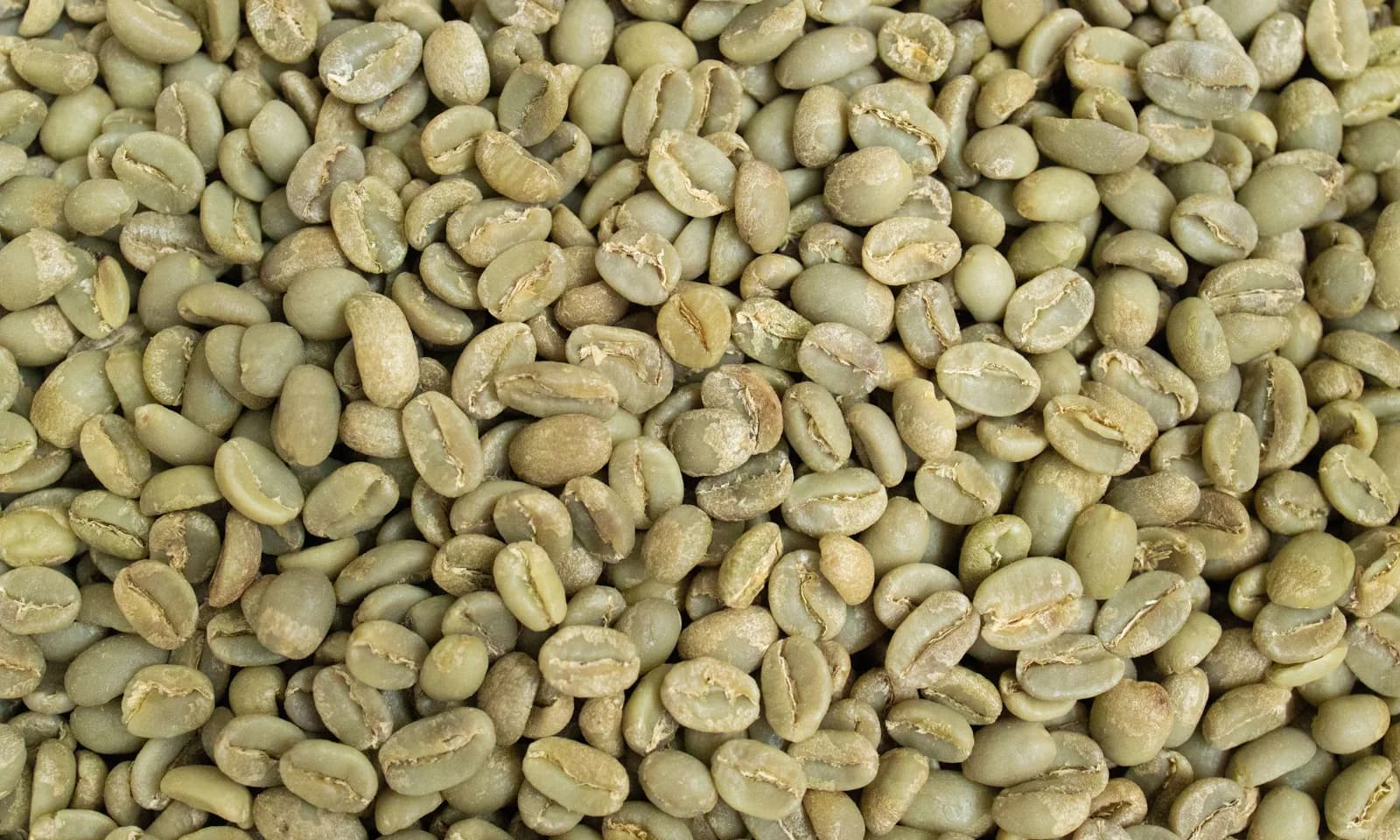 Green coffee specification sheet used to assess unroasted coffee beans for purchase