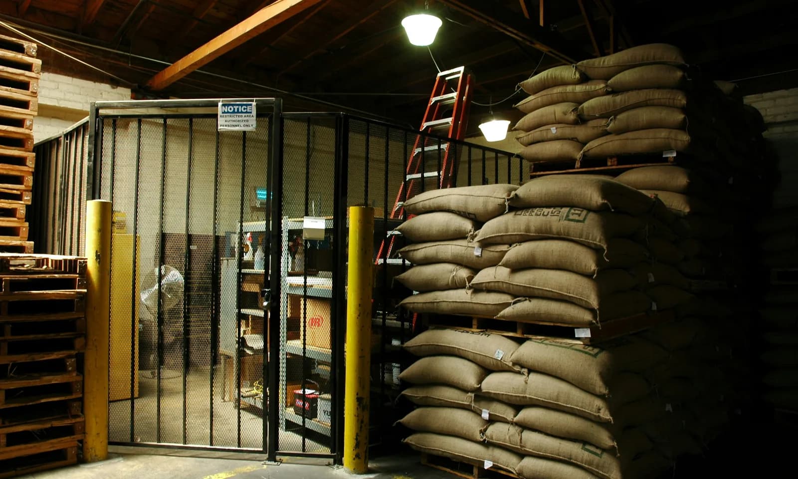 Green coffee warehouse pest control inspection around stacked coffee bags